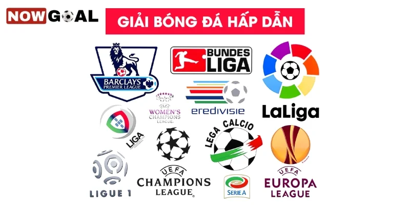 NowGoal cung cấp NowGoal những giải đấu nào?